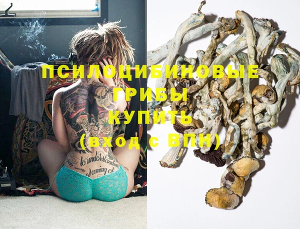 mdma Каменка